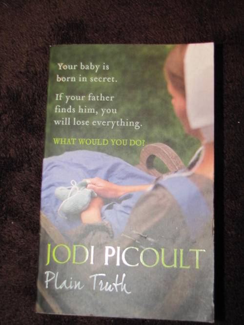 Jodi Picoult - Plain Truth