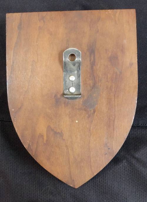 SADF .. 1 SSB / SDB .. METAL PRESENTATION FLASH mounted on Wooden Plaque