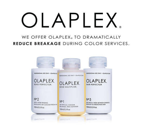 Olaplex Stand-Alone Kit