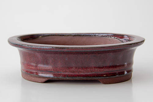 Bonsai Pot - Ox Blood