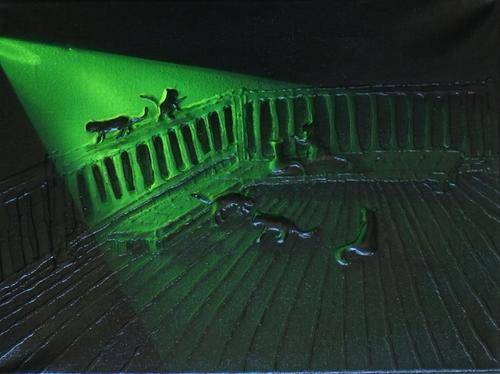 Kittens playing on deck. Acrylics on Stretched boxed canvas.By Jane Flowers