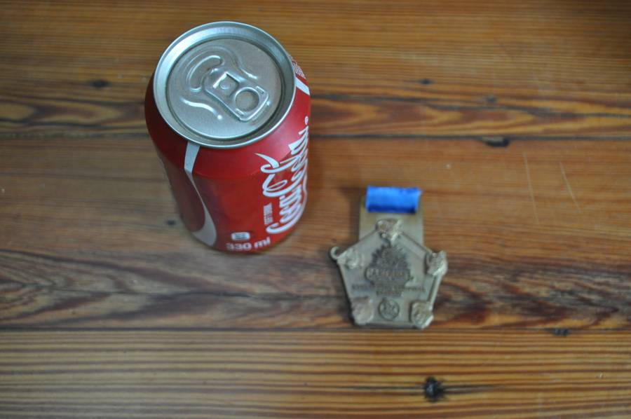 Carousel Sungardens Classic Medal
