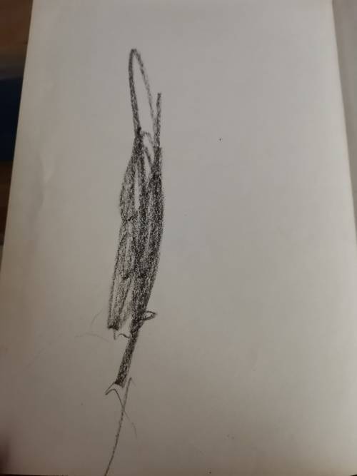 Liewe Heksie en die tent. 1978 - Verna Vels