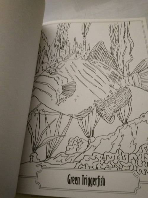Colour and Art - Under the sea