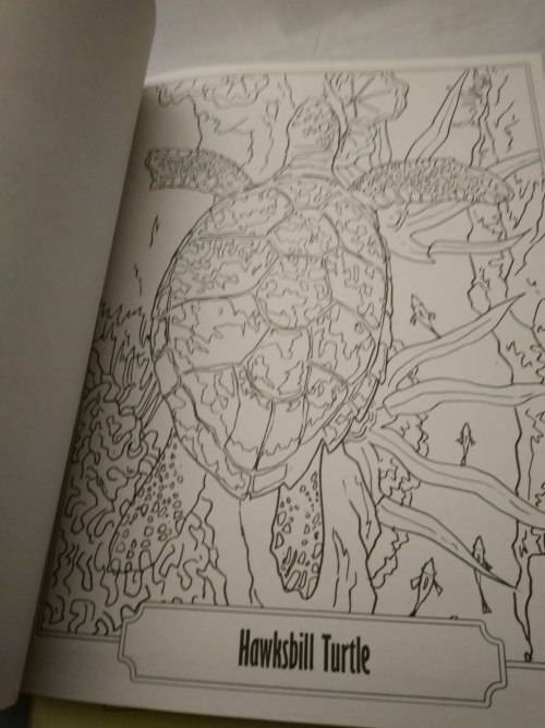 Colour and Art - Under the sea