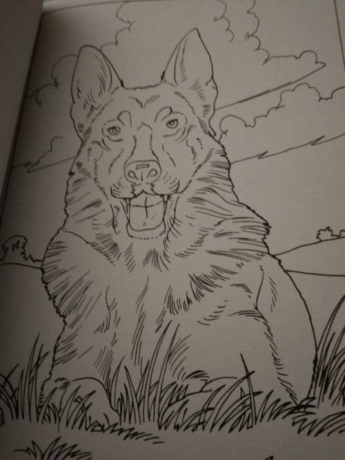 Colour and Art - Dogs and puppies