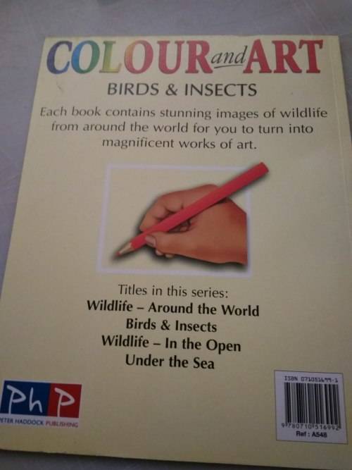 Colour and Art - Birds and Insects
