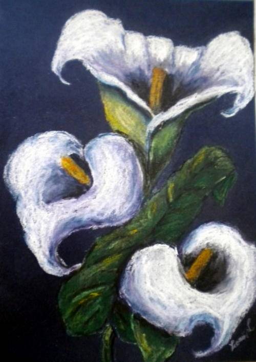 Three white Arumlilies. Flowers, spring, South Africa,Still life, Leonie van Loggerenberg
