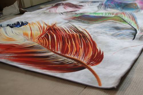 3D Carpet Design Area Rugs FEATHERS