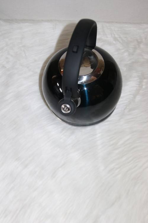 Berlinger Haus 3L Stainless Steel Whistling Kettle - AQUAMARINE
