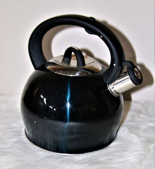 Berlinger Haus 3L Stainless Steel Whistling Kettle - AQUAMARINE