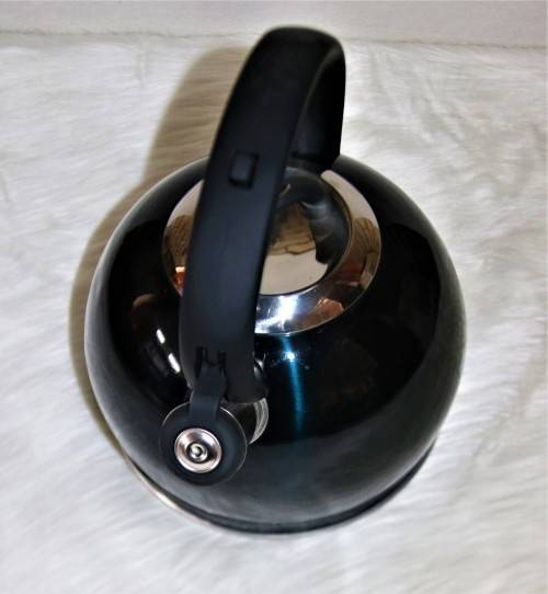 Berlinger Haus 3L Stainless Steel Whistling Kettle - AQUAMARINE