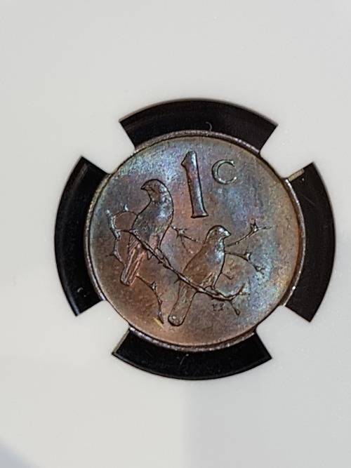 1965 SOUTH AFRICA ONE CENT - ENGLISH UNCIRCULATED- NGC GRADED MS64  BROWN. **CV IN UNGRADED R2000**