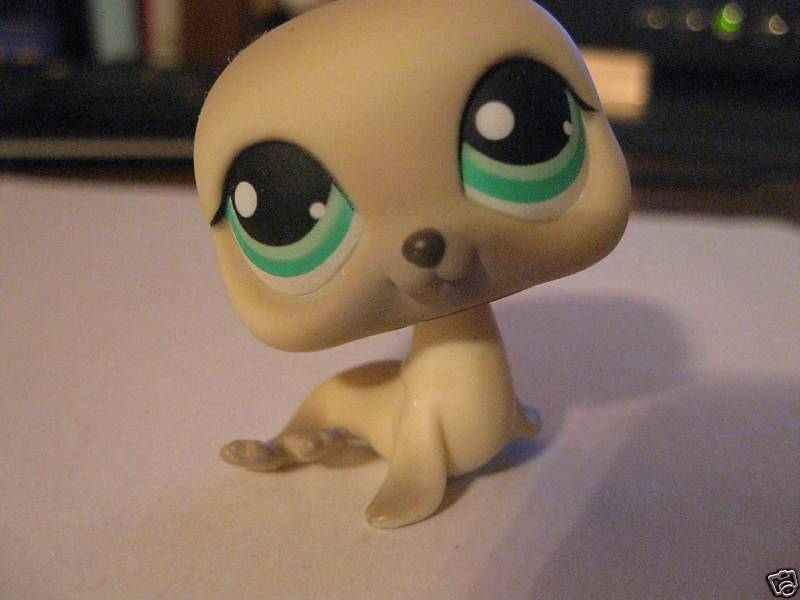 Last One - Littlest pet shop,  Seal #342