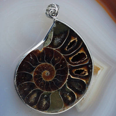 Ammonite Pendant