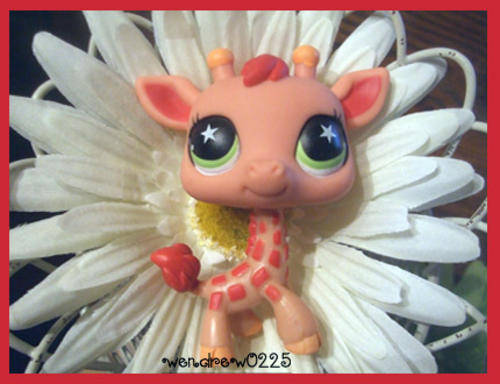 Littlest Pet Shop, Peacj Giraffe #943