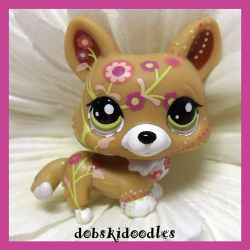 Littlest Pet Shop, Postcard Corgi / Fox 1851