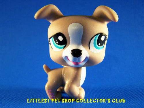 Littlest Pet Shop, Dog - Jack Russel 1463