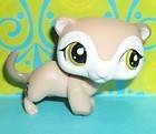 Littlest Pet Shop, Ferret 1573 - flawed