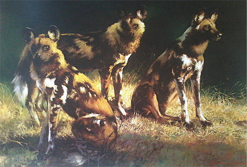 Hyenas - Original Signed Prints - Marie Vermeulen Breedt
