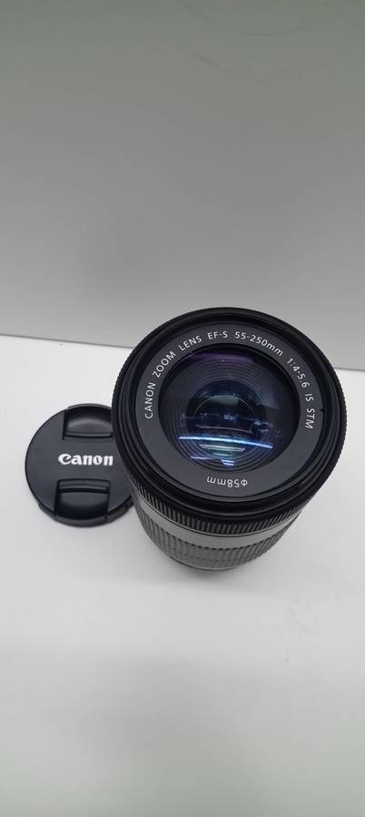 Canon 55-250mm STM with image stabilizer