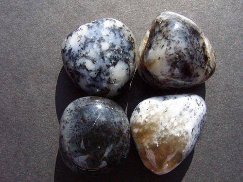 4 X Denditric Opal Tumbled