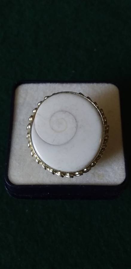 Genuine Operculeum Shell Ring