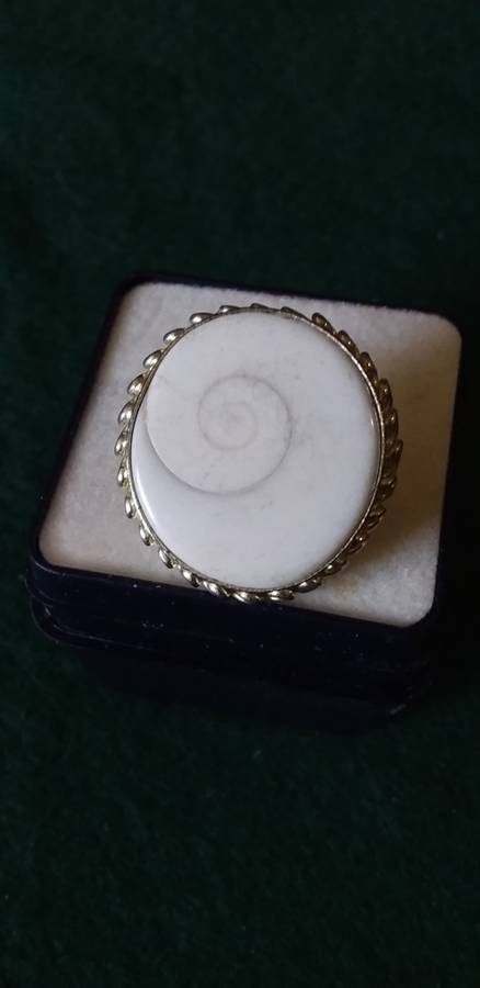 Genuine Operculeum Shell Ring
