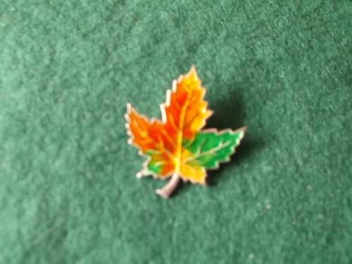 Vintage Sterling Silver And Enamel Maple Leaf Brooch