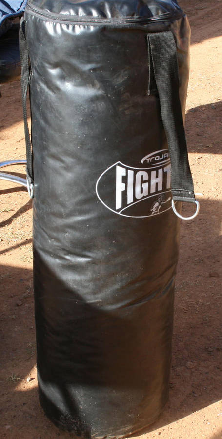 Punch bag TROJAN