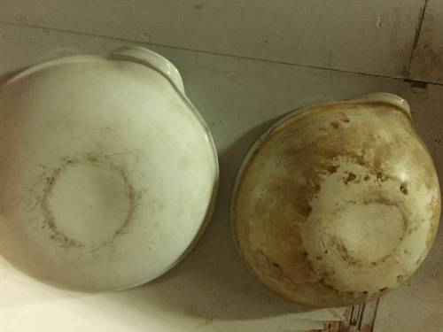 Old ceramic bowls used in a chemistry lab
