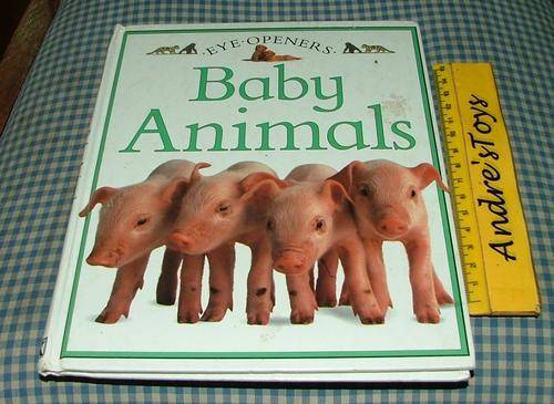 Eye Opners  ~ Baby Animals