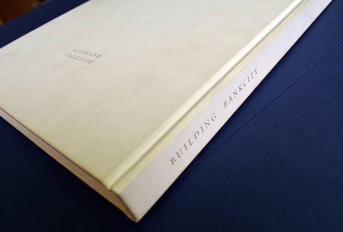 Building of Bank City in Johannesburg (FNB book) the full story