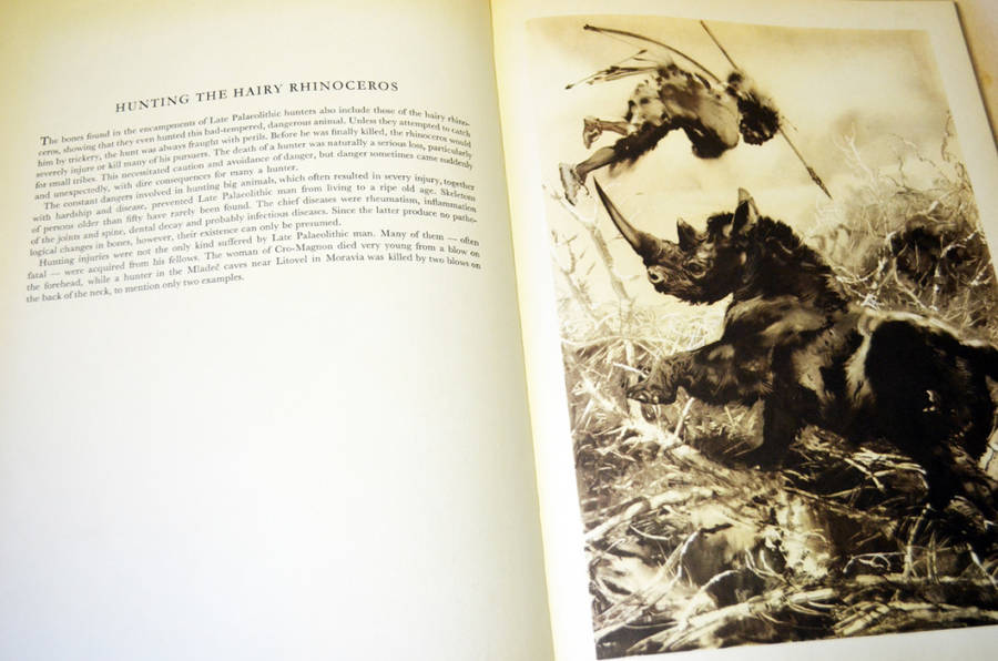 Prehistoric large hardcover rare books: Prehistoric Animals and Prehistoric Man by Josef Augusta.