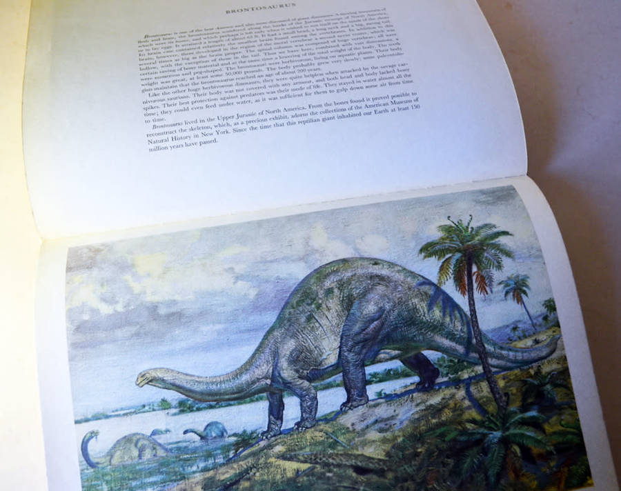 Prehistoric large hardcover rare books: Prehistoric Animals and Prehistoric Man by Josef Augusta.