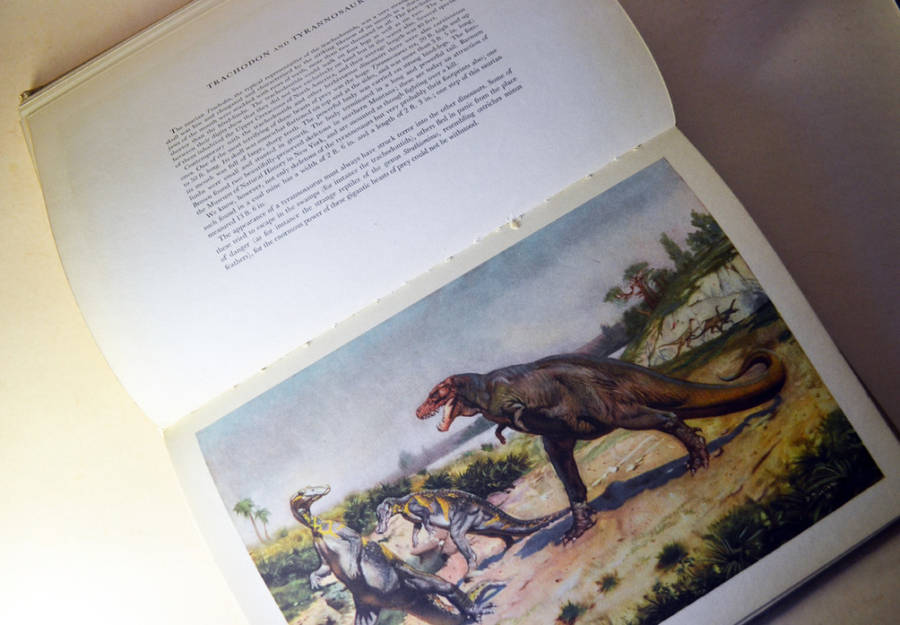 Prehistoric large hardcover rare books: Prehistoric Animals and Prehistoric Man by Josef Augusta.