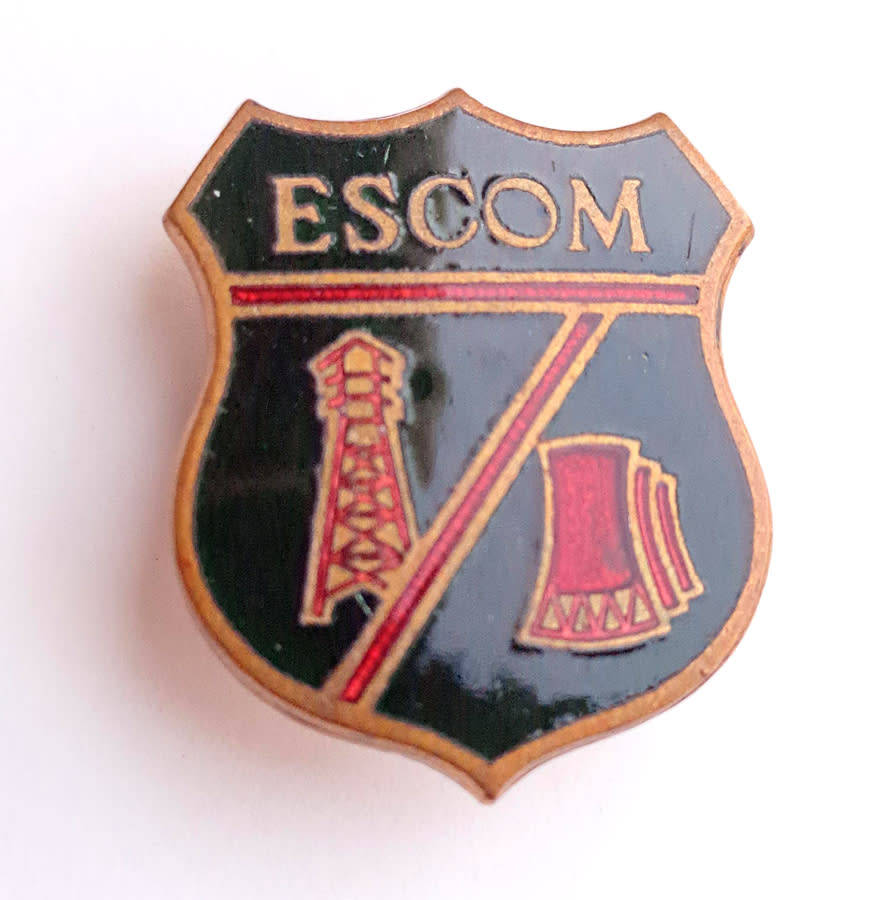 Vintage historic South African banks pin badges and Eskom pin badges