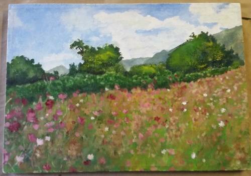ORIGINAL OIL ON STRETCHED CANVAS [A FIELD OF FLOWERS]
