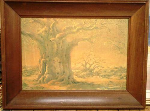 A REPRODUCTION OF BOABAB TREE IN AN OLD BROWN FRAME