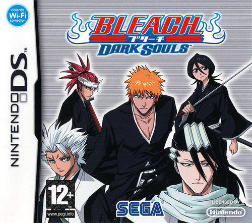 NINTENDO DS BLEACH DARK SOULS / BID TO WIN / FREE SHIPPING