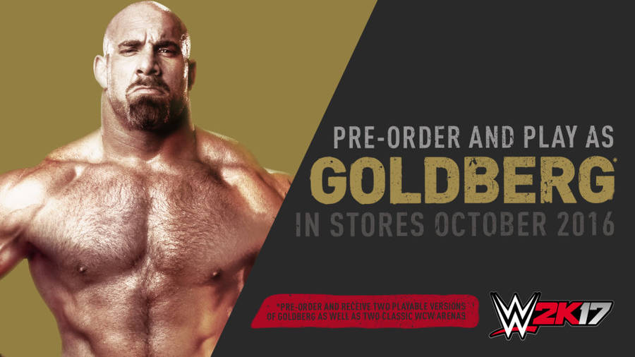 PS3 WWE 2K17 DAY ONE EDITION / AS NEW / BID TO WIN