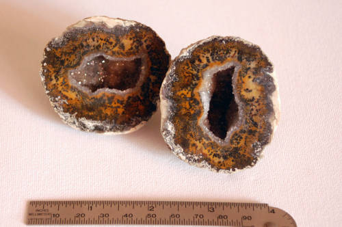 Natural coconut geode from Mexico