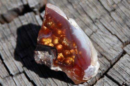 Amazing Fire Agate.