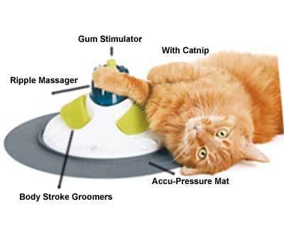 CAT IT DESIGH MASSAGE CENTER