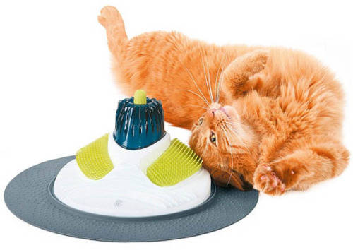 CAT IT DESIGH MASSAGE CENTER