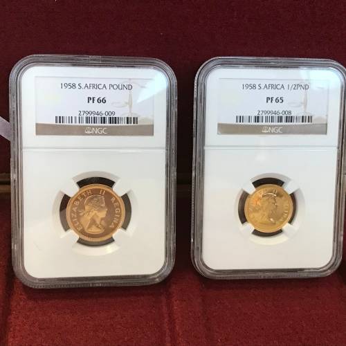 1958 South Africa Pound and 1/2 Pound in beautiful Box
