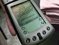 Palm V (old)