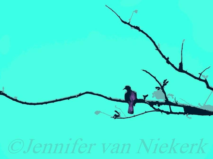 Thorn Tree Dove  [d]