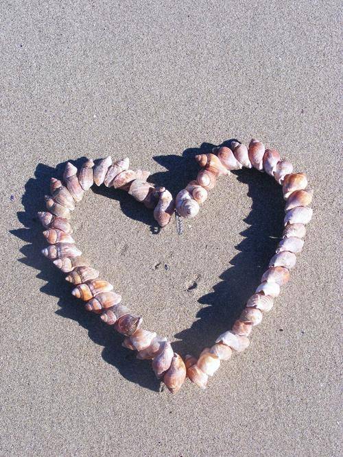 Heart Shaped Seashell Wreath - Medium