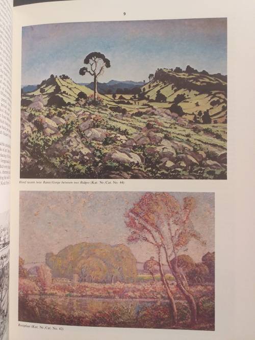 JH Pierneef: Pretorianer, Transvaler, Suid-Afrikaner (Bilingual Afrikaans & English)